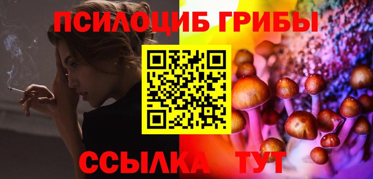 Псилоцибиновые грибы GOLDEN TEACHER Заринск
