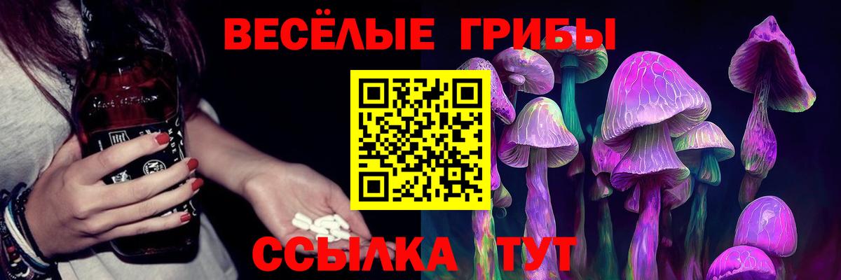 Псилоцибиновые грибы MAGIC MUSHROOMS  цена наркотик  Заринск  Вход с VPN 